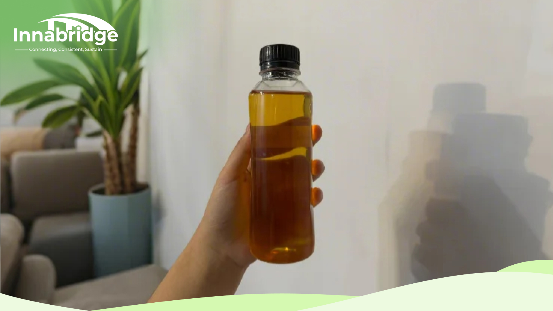 Coconut Acid Oil